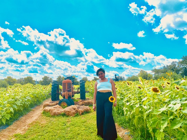 Alyce H Sunflower farm